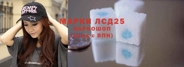 прущие грибы Алзамай