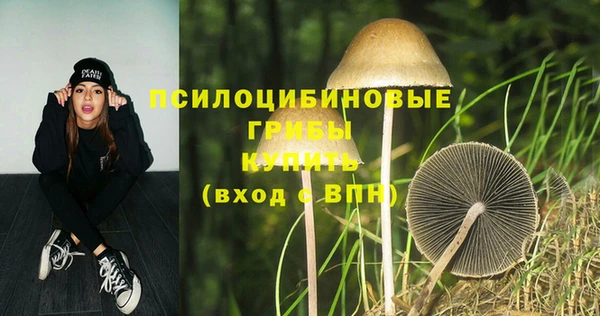 гидра Абдулино