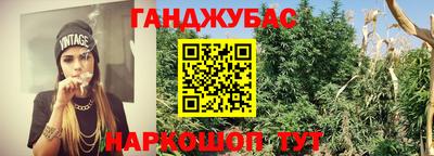 дмт Новокубанск