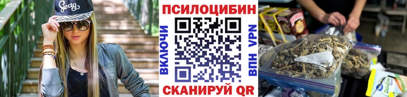 Псилоцибиновые грибы MAGIC MUSHROOMS  продажа наркотиков  Черногорск 