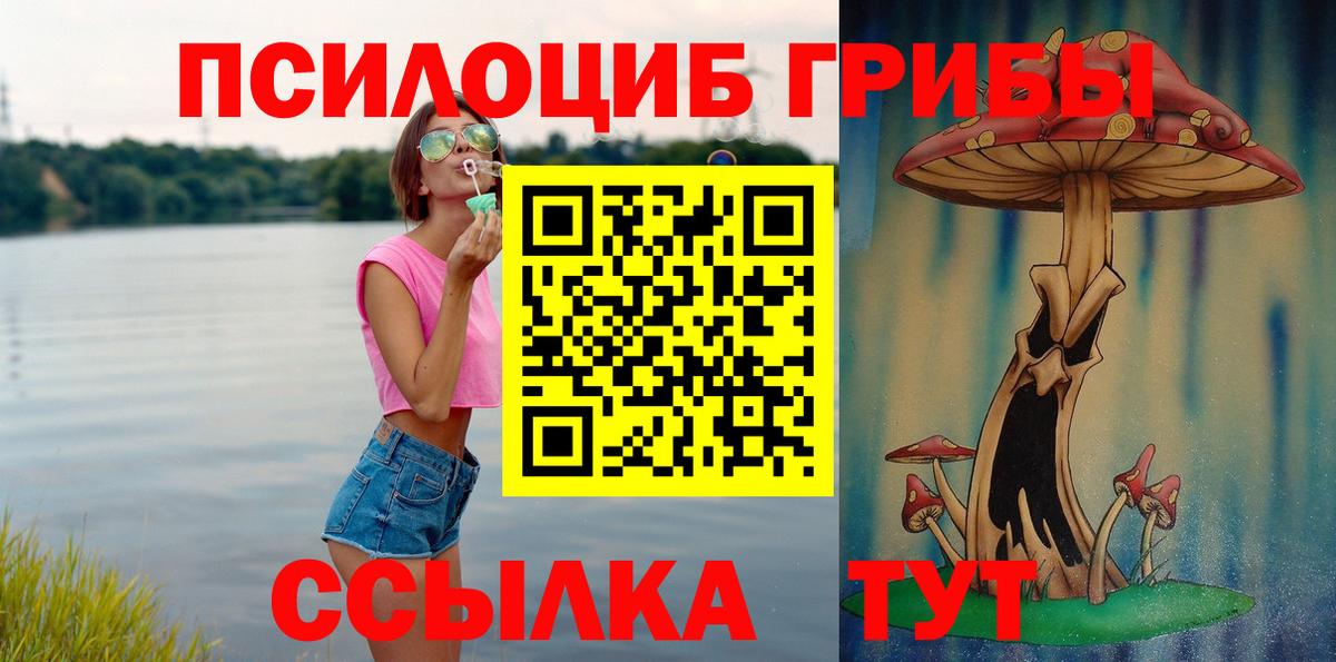 Галлюциногенные грибы Psilocybe Черногорск