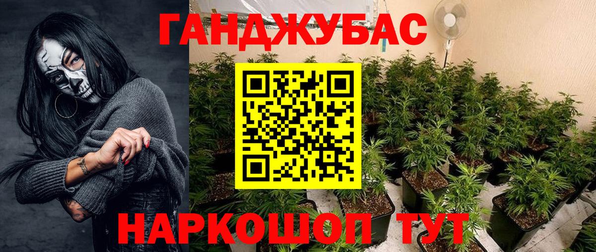 Бошки марихуана планчик Черногорск